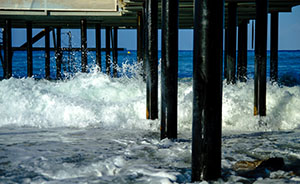 Dock Piling Protection And Restoration Fort Lauderdale